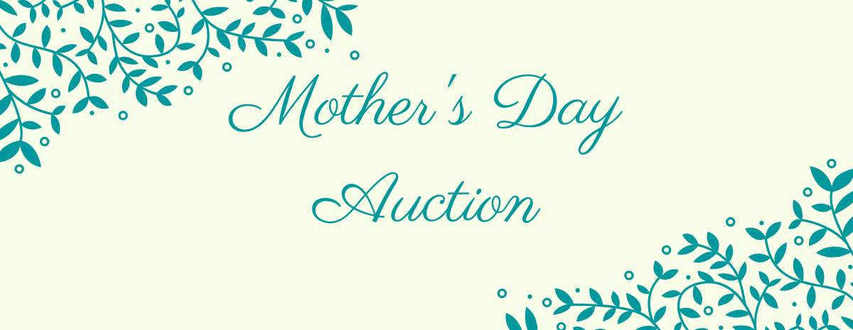 2nd Annual YWCA Pueblo Mother's Day Auction